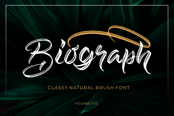 Biograph: A Script Font for Web Design