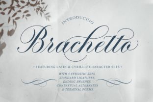 Brachetto: A Sensual Script Font