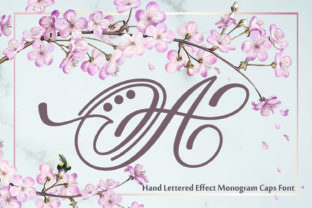 Hand Lettered Effect Monogram Font Review