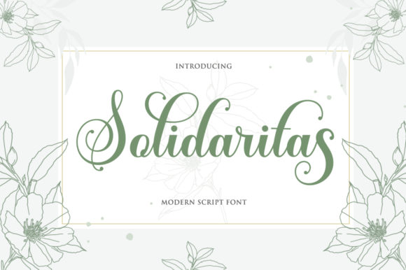 Solidaritas Font for Web Design